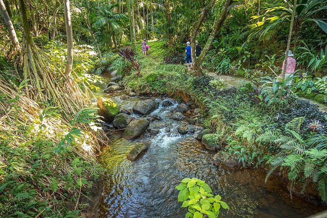 Princeville Botanical Gardens Tour and Chocolate Tasting Ticket - The upper terraces and useful tropical plants