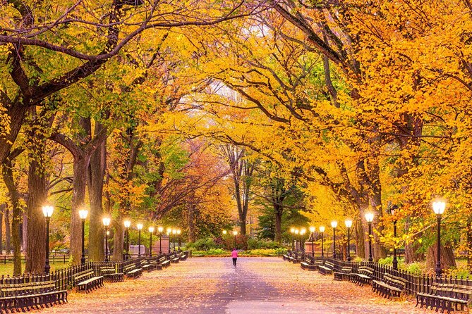 Private Central Park Pedicab Tour - Key points at a glance