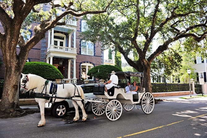 Private Daytime Horse-Drawn Carriage Tour of Charleston - St. Philip’s Church and the church-lined streets