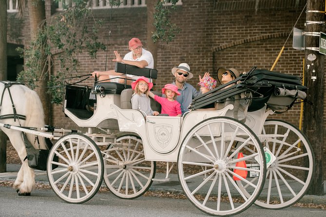 Private Daytime Horse-Drawn Carriage Tour of Charleston - The route lottery is the biggest decision point