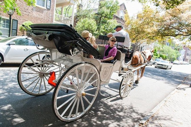 Private Daytime Horse-Drawn Carriage Tour of Charleston - Guides, horses, and the feel of the ride