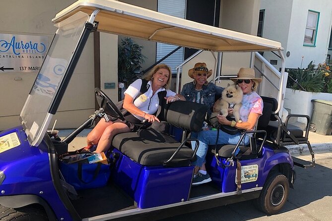 Private Guided Golf Cart Tour of Avalon - Pebbly Beach and Avalon’s shore