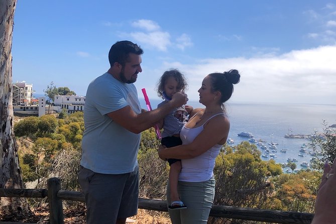 Private Guided Golf Cart Tour of Avalon - What the guide adds to the two-hour route