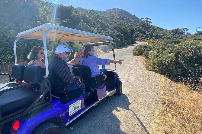 Private Guided Golf Cart Tour of Avalon - Price, group size, and practical value