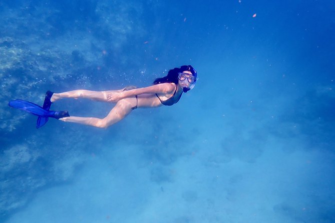 Private Looe Key Snorkel from Big Pine Key - A Private Boat Instead of a Crowded Departure