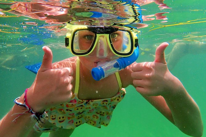 Private Looe Key Snorkel from Big Pine Key - Is $575 a Fair Price for Four?