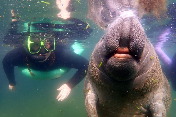 Private 'OG' Manatee Snorkel Tour with Guide for up to 10 people - The private boat is the real advantage
