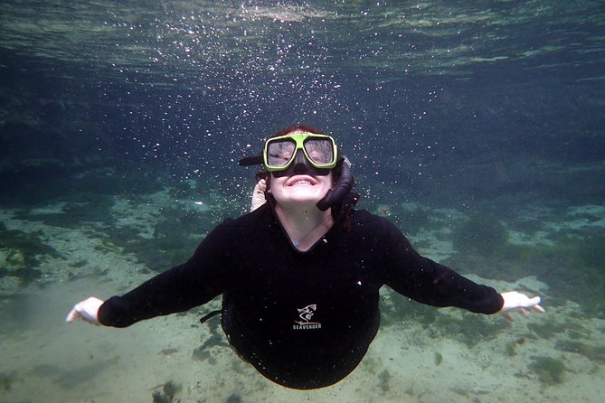 Private 'OG' Manatee Snorkel Tour with Guide for up to 10 people - Three hours, with plenty packed in