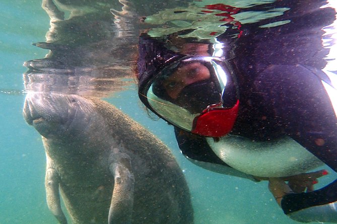 Private 'OG' Manatee Snorkel Tour with Guide for up to 10 people - What the $670.34 group price includes