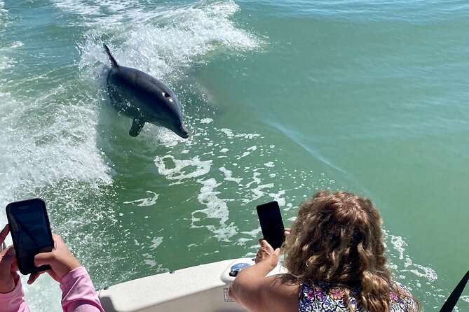 Private Shelling and Dolphin Excursion - Key points to know before you book