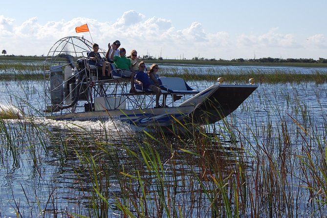 Private Tour: Florida Everglades Airboat Ride and Wildlife Adventure - What you may see from the boat
