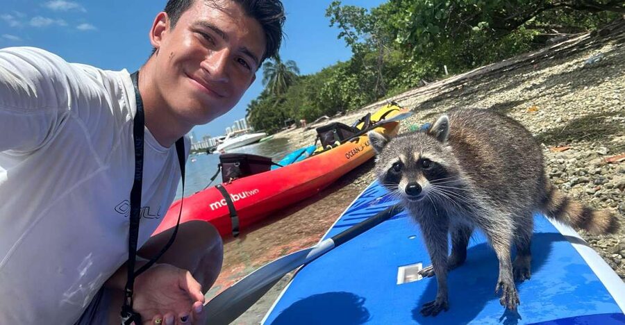 Raccoon Island: Exploration on SUP/Kayak - Is $99 a Fair Price?