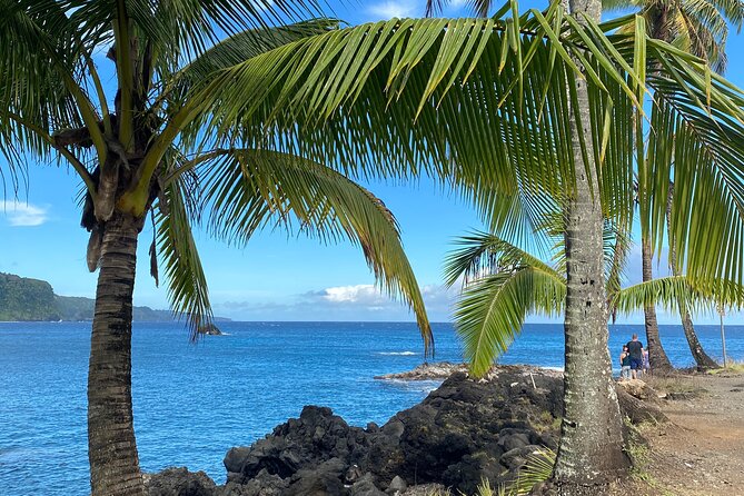 Rainforest Tour to Hana and Beyond - The van, food, and comfort details