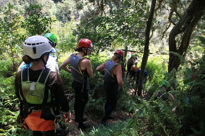 Rappel Maui Waterfalls and Rainforest Cliffs - Three rappels, waterfall spray, and rainforest pools