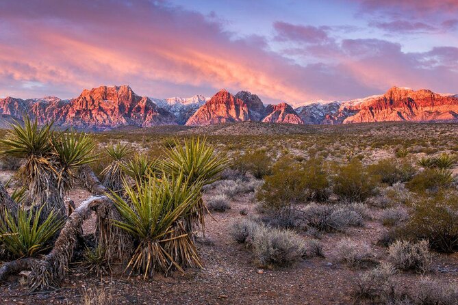 Red Rock Canyon eBike Half-Day Tour - Key points to know before booking