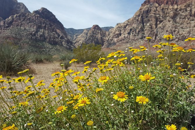 Red Rock Canyon eBike Half-Day Tour - Is $137 a fair price?