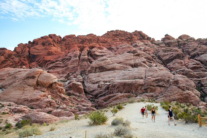 Red Rock Canyon Hike with Transport from Las Vegas - The scenery, from red sandstone to Mojave details