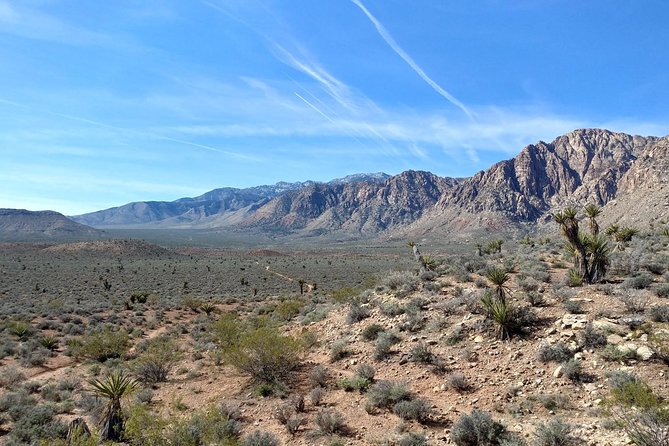 Red Rock Canyon Hike with Transport from Las Vegas - Who will enjoy this outing most