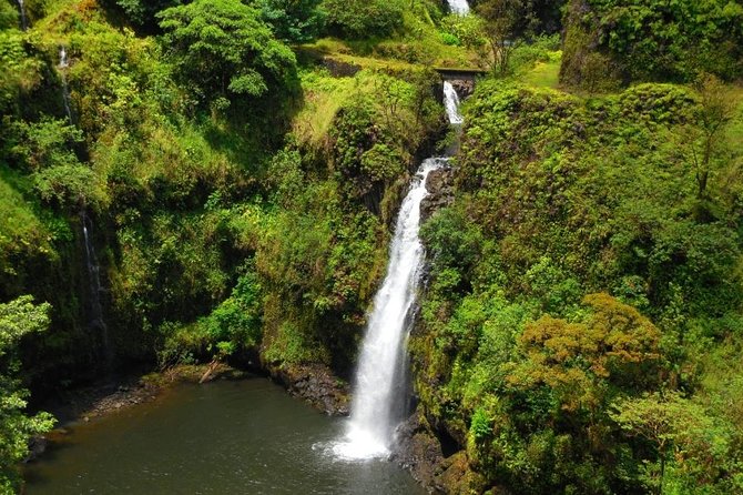 Road To Hana Black Sand Beach Waterfalls & Turtles Tour - The van, the road, and the motion