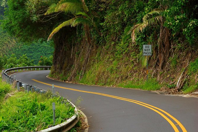 Road to Hana: Full-Day Scenic Drive with Blacksand & Waterfalls - Waterfalls, bamboo, and roadside photo stops