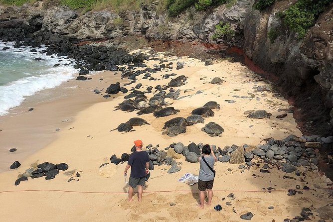 Road to Hana: Full-Day Scenic Drive with Blacksand & Waterfalls - Hāna and the return through the forest