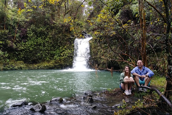 Road To Hana: Maui Waterfall Hiking Tour in Private Jeep - Black sand, sea turtles, and other memorable stops