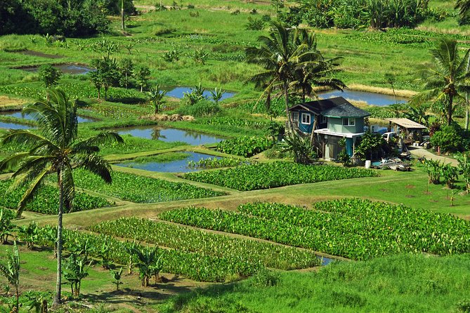 Road to Hana Tour with Lunch and Pickup - Ke‘anae Point brings the coast into focus