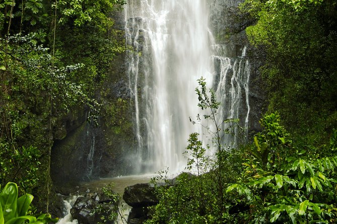 Road to Hana Tour with Lunch and Pickup - Wai‘anapanapa State Park is the visual high point