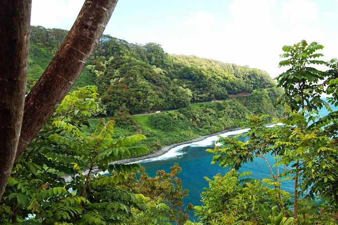 Road to Hana Tour with Lunch and Pickup - Pua‘a Ka‘a is the day’s chance to swim