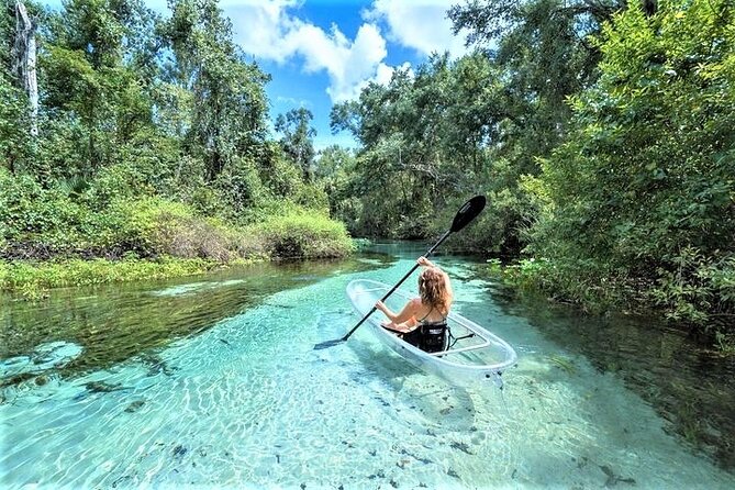 Rock Springs 2-Hour Glass Bottom Guided Kayak Eco Tour - Key points to know before you book