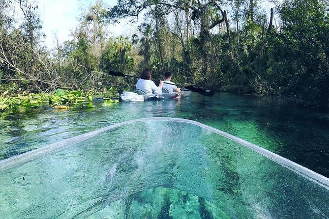 Rock Springs 2-Hour Glass Bottom Guided Kayak Eco Tour - Wildlife: exciting possibilities, no promises