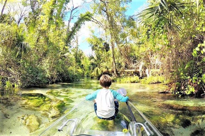 Rock Springs 2-Hour Glass Bottom Guided Kayak Eco Tour - Is $115 a fair price?