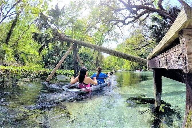 Rock Springs 2-Hour Glass Bottom Guided Kayak Eco Tour - The swimming platform and rope swing