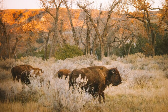 Rocky Mountain Escape - Why this four-hour escape works from Denver