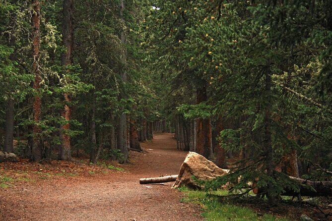 Rocky Mountain Escape - Mount Blue Sky Scenic Byway and Juniper Pass views