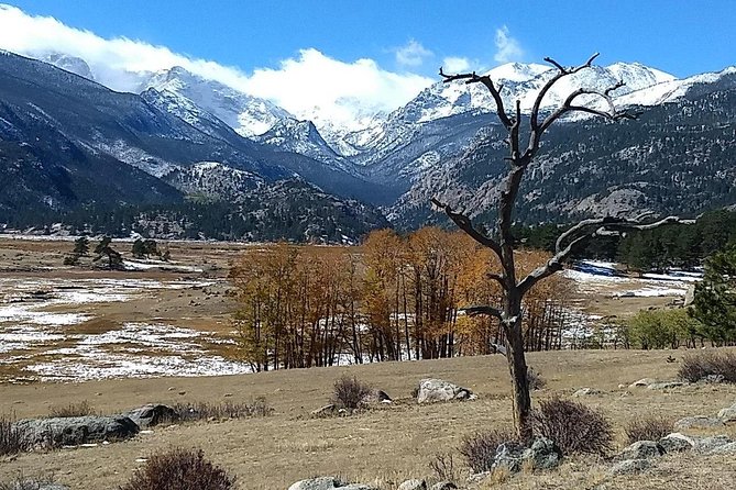 Rocky Mountain National Park and Estes Park Tour from Denver Winter and Spring - Choosing Bear Lake or Sprague Lake