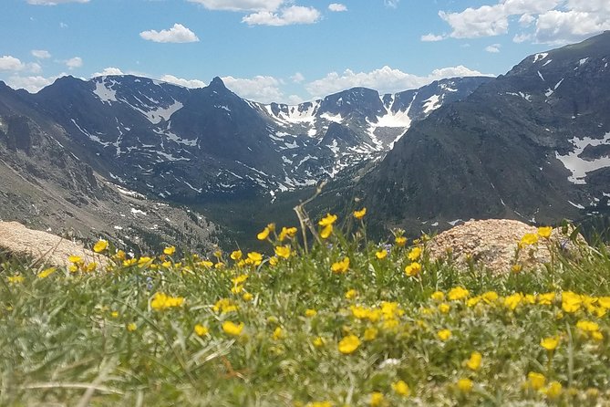 Rocky Mountain National Park in Summer Tour from Denver - Key things to know before you book