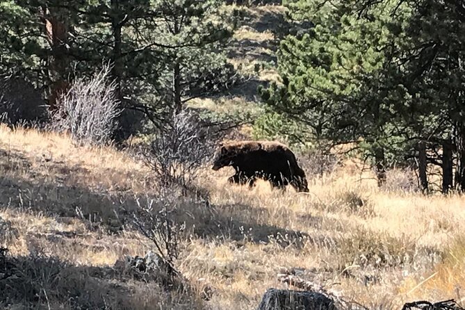 Rocky Mountain National Park in Summer Tour from Denver - Rock Cut and the Alpine Visitor Center