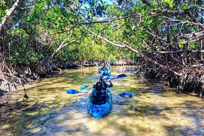 Rookery Bay Kayak Adventure – Mangroves, Wildlife & Photos - Entering Rookery Bay by kayak