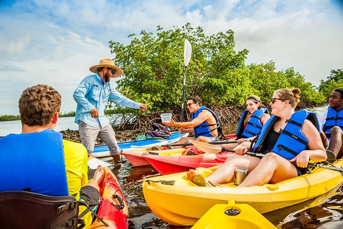 Rookery Bay Kayak Adventure – Mangroves, Wildlife & Photos - Guides who make the outing worthwhile