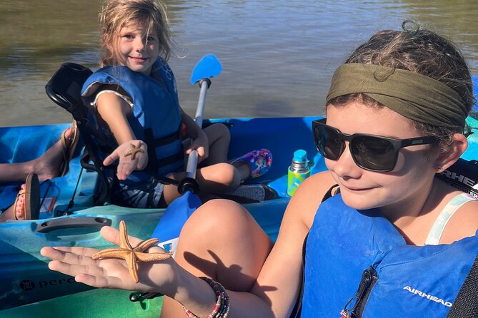 Rookery Bay Kayak Adventure – Mangroves, Wildlife & Photos - Wildlife sightings, from dolphins to tiny snails