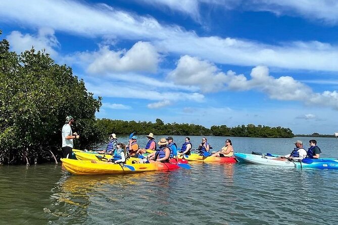 Rookery Bay Kayak Adventure – Mangroves, Wildlife & Photos - What to bring to Capri Paddlecraft Park