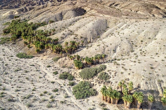 San Andreas Fault Jeep Tour from Palm Desert - Key points to know before booking