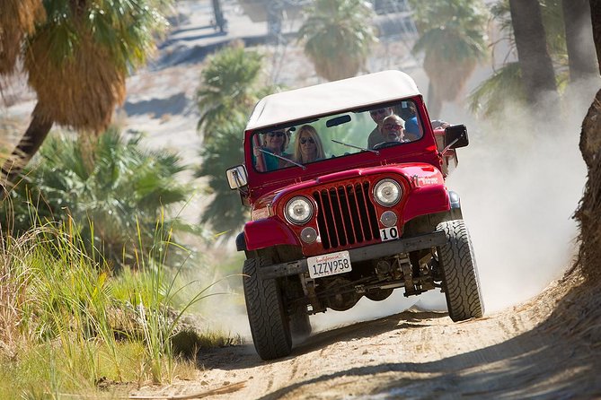San Andreas Fault Jeep Tour from Palm Desert - Seeing water where you expect only dust