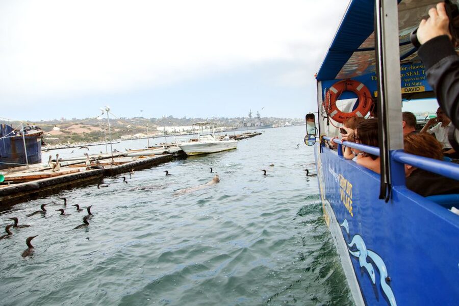 San Diego: SEAL City Tour by Amphibious Bus - What the guide adds to the ride
