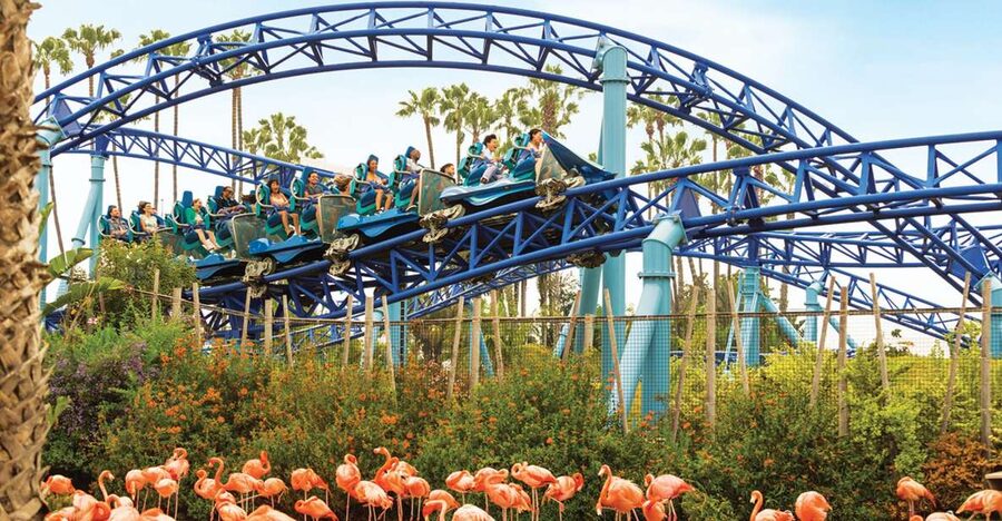 San Diego: SeaWorld Skip-the-Line Park Admission Ticket - What your SeaWorld day actually includes