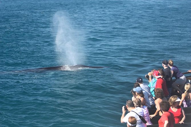San Diego Whale Watching Cruise - Leaving Shelter Island and San Diego Bay