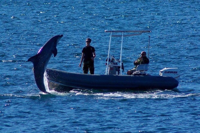 San Diego Whale Watching Cruise - What the ride feels like on open decks