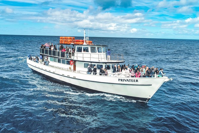 San Diego Whale Watching & Dolphin Cruise - Who will get the most from this trip