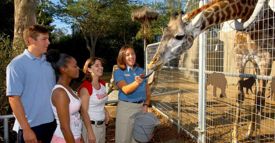 San Diego Zoo: 1-Day Admission Ticket - A 100-acre zoo that rewards a full day